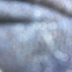 Meet your Posher, Mckenzy